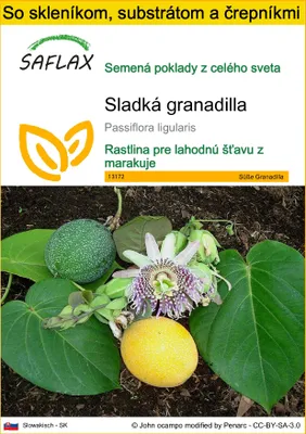 Obrázok produktu pre SAFLAX Kultivačný set - Sladká granadilla - Passiflora ligularis - 20 Semená - S mini skleníkom, pestovateľským substrátom a 2 črepníkmi