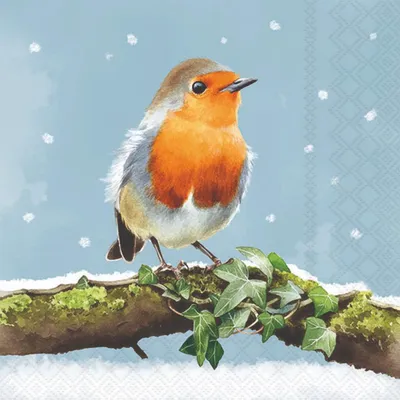 Produktbild von 20 Servietten Robin on Branch - Rotkehlchen auf Ast mit Blätter 33x33cm