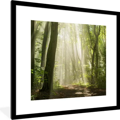 Produktbild von MuchoWow® Gerahmtes Poster Wald - Licht - Natur - Landschaft 40x40 cm - Poster mit Schwarzem Bilderrahmen Wandposter Rahmen Foto Bilder - Poster - Plakat im Rahmen