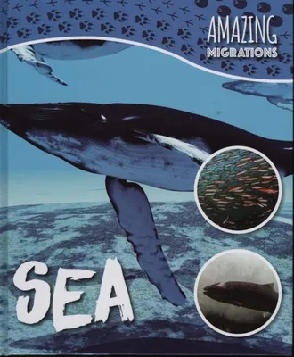 Produktbild von Brundle, H: Sea