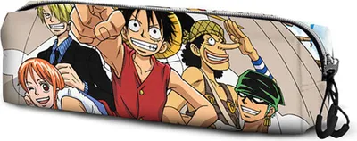 Immagine prodotto di Karactermania One Piece Piratenfall Taglia Unica