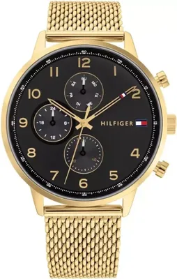 Produktbild von Tommy Hilfiger - Tommy Hilfiger TH1791989 - Leonard - Armbanduhr