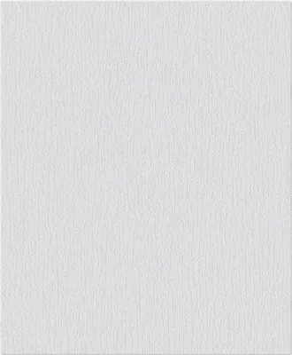 Produktbild von Erfurt Strukturvlies 1004356 Basic 405 10,05x0,53 m