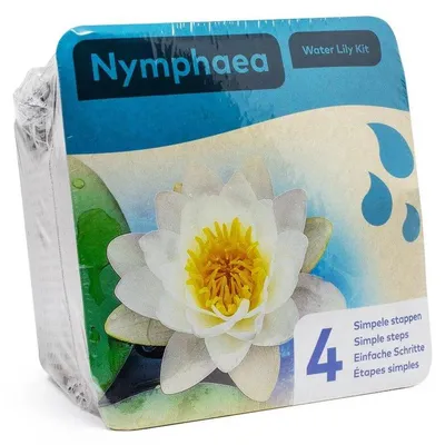 Productafbeelding van Moerings Droogverpakking Vijverplant Witte Waterlelie