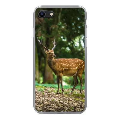Produktbild von MuchoWow® Handyhülle Schutzhülle Hülle für iPhone 8 Rotwild - Wald - Tier Silikon Softcase Handy Hülle - Schutzhaube