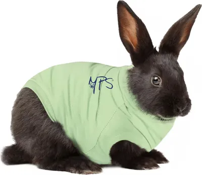 A black rabbit wearing a light green shirt with 'MPS' logo on it, isolated on a white background.