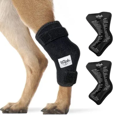Produktbild von Famanu Hundeschuhe Gelenkschutz - Neopren mit Kühlpads