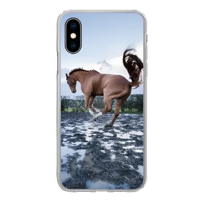 Produktbild von MuchoWow® Handyhülle Schutzhülle Hülle für iPhone X Ein bockendes Pferd in den Pfützen Silikon Softcase Handy Hülle - Handyhülle