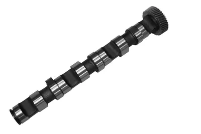 Produktbild von INA 428 0155 10 Nockenwelle für VW PASSAT Variant (3B6) für AUDI A4 Avant (8E5, B6) A4 Limousine (8D2, B5) A4 Avant (8D5, B5) A6 Avant (4B5, C5)