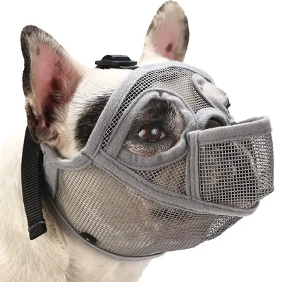 Productafbeelding van Mondkorf zonder geluid voor Franse Bulldog, geschikt voor korte snuiten, mondkorf voor Shih Tzu