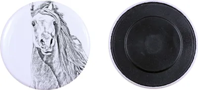 Produktbild von Pintabian Magnes mit einem kleinen Pferd Art-Dog