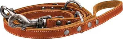 Produktbild von Spotted! Pro Leder Trainingsleine Cognac 2x250cm