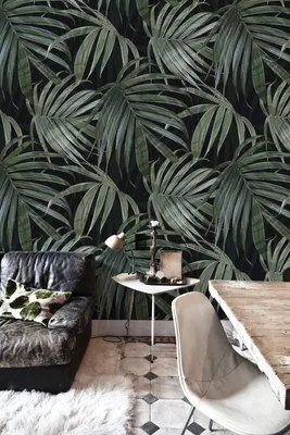 Produktbild von Coloray Fototapete 416x254 cm Vlies-Fototapete - Monstera-Blatt.
