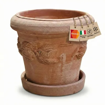 Produktbild von Teramico Terracotta Topf "Limoni" Frostfest optional mit Teller