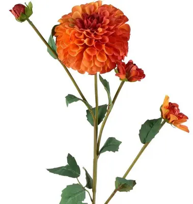 Zdjęcie produktu dla Viridis Kwiat Sztuczny Dalia 77Cm