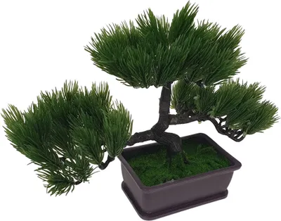 Produktbild von Künstlicher Bonsai Baum im Topf 20cm Kunstpflanze Kunstbaum