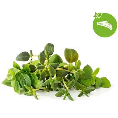 Image de Click & Grow Click & Grow Plant Pod Italian Mix 9pcs