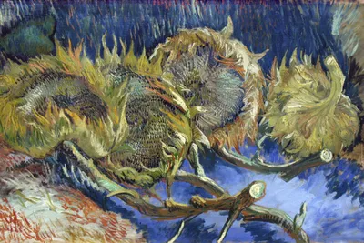Immagine prodotto di Poster 60x40 cm  Quattro girasoli appassiti, Van Gogh Vintage