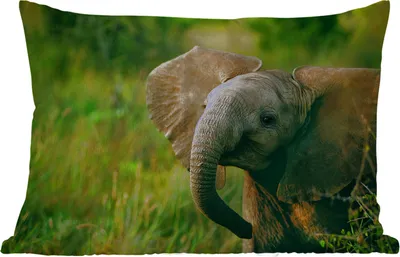 Produktbild von MuchoWow® Outdoor Kissen - Elefant - Grün - Tiere - Natur - 60x40 cm - Wetterfest - Lounge Kissen - Zierkissen - Kissen für Innenräume