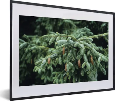 Produktbild von MuchoWow® MuchoWow® Gerahmtes Poster Eine Nahaufnahme eines Weihnachtsbaums in einem Wald in den Vereinigten Staaten 40x30 cm - Poster mit zchwarzem Bilderrahmen - Bilderrahmen - Poster im Rahmen