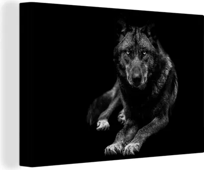 Produktbild von OneMillionCanvasses® - Leinwandbilder - 140x90 cm, Tiere - Wolf - Schwarz - Weiß - Porträt, Wandbilder Kunstdruck Wanddekoration - Foto auf Leinwand - Gemälde auf Holzrahmen