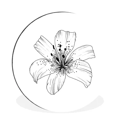 Produktbild von MuchoWow® Aluminium Wandkreis Lilie - Blume - Natur - Vintage Ø 30 cm Wanddeko Modern Wohnzimmer - Wand Bild - Wohnzimmer - Runde Bilder - Alubilder - Kunst für zu Hause - Aluminium - Wanddekoration