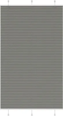 Image de Store plissé anthracite 120x200 cm largeur du tissu 119,4 cm