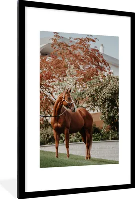 Produktbild von MuchoWow® MuchoWow® Gerahmtes Poster Pferd - Baum - Halfter 60x90 cm - Poster mit zchwarzem Bilderrahmen - Dekoration - Wandposter Wohnzimmer - Hochwertig