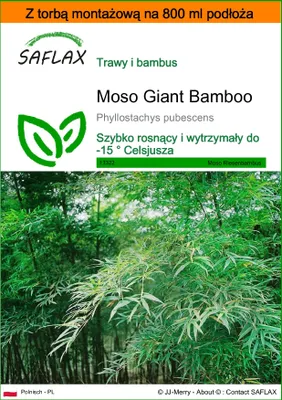 Zdjęcie produktu dla SAFLAX - Garden in the bag - Moso Giant Bamboo - 20 Nasiona - Z podłożem uprawowym w praktycznej, samorozkładającej się torbie - Phyllostachys pubescens
