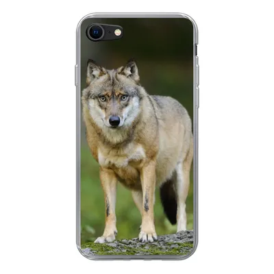 Produktbild von MuchoWow® Handyhülle Schutzhülle Hülle für iPhone 7 Wolf - Asien - Pflanzen Silikon Softcase Handy Hülle - Kartenhalter