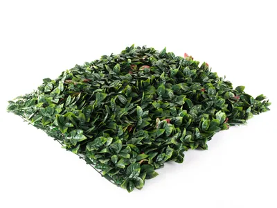 Obrázek produktu pro Umělý živý plot Hawaj Blýskalka Photinia červená Stěna 100 x 100 cm