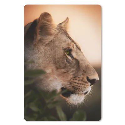 Produktbild von MuchoWow® Mauspad Mousepad Löwe - Dschungel - Orange 40x60 cm - Mousepads - Maus Mat - Pad - Mausunterlage - Schreibtisch Accesoire