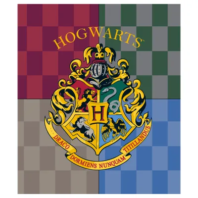 Obrázek produktu pro sarcia.eu Barevný koláč 120x150 cm Bradavice Harry Potter, Oeko-Tex