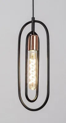 Produktbild von Rabalux 72263 Pendelleuchten Rovier E27 1x MAX 40 Metall  mattschwarz