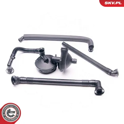 Produktbild von ESEN SKV 31SKV040 Reparatursatz, Kurbelgehäuseentlüftung x