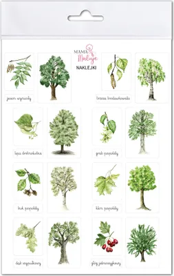 Image de Autocollants pour arbres 1