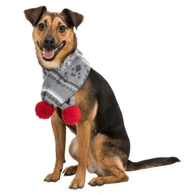 Produktbild von Trixie Xmas Schal - Größe M (70 cm)