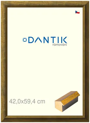 Obrázok produktu pre Rám DANTIK 42x59,4 | Forgia Gold (Plexi Clear)