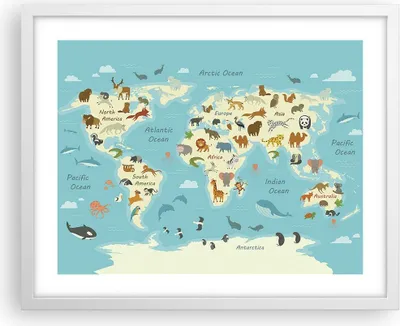 Produktbild von Gerahmtes Poster - Weißer Rahmen - Tiere die Welt Karte - 50x40 cm - Wand Bild - Wanddeko - Wandbilder - Kunstposter - Wandposter - Bilderrahmen - Bilder - Kunstdruck - P2WAA50x40-4860