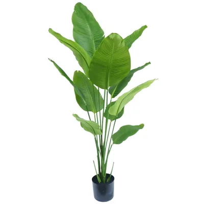 Produktbild von Kunstpflanze Strelitzia 150 cm real touch