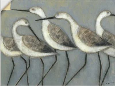 Produktbild von ARTland Wandbild, selbstklebend Küstenvögel I Größe: 80x60 cm