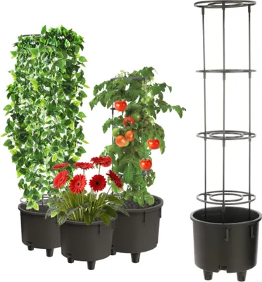 Immagine prodotto di Asta di sostegno inserita Ø 38,5 fiori ortaggi frutta arrampicata