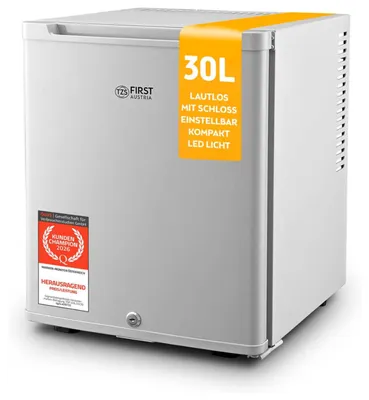 Image de Réfrigérateur miniature TZS First Austria | 30 litres | Entièrement silencieux | Porte réversible et éclairage intérieur | Gris * B*