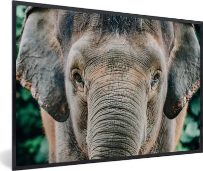 Produktbild von MuchoWow® MuchoWow® Gerahmtes Poster Nahaufnahme eines Elefanten 30x20 cm - Poster mit zchwarzem Bilderrahmen - Kunstdruck - Bild-Poster