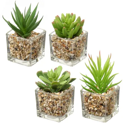 Image de Plante succulente artificielle, plante d'intérieur, décoration pour le salon et la salle de bains, hauteur 10,5 cm, dans un pot en verre, lot de 4