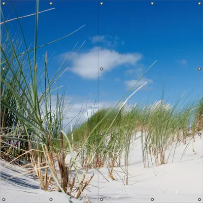 Produktbild von Wallario Outdoor-Poster für Garten oder Balkon, Motiv Düne am Strand unter blauem Himmel, in ca. 180 x 180 cm