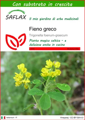 Immagine prodotto di SAFLAX  - Fieno greco - 100 semi - Con substrato - Trigonella