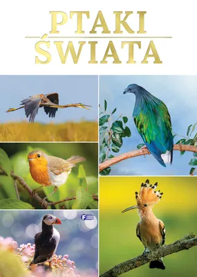 Zdjęcie produktu dla Ptaki swiata