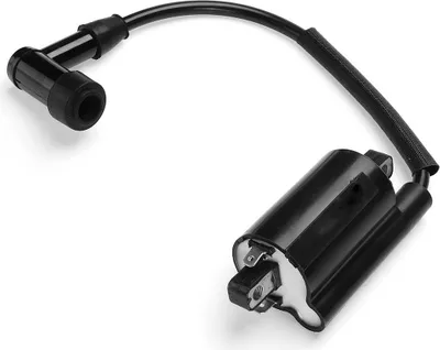 Image de Bobine d'allumage adaptable sur John Deere 2653 GAS 260 265 285 320 425 445 455 F725 F911