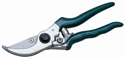 Image de Sécateur pour rosiers Couleur : vert